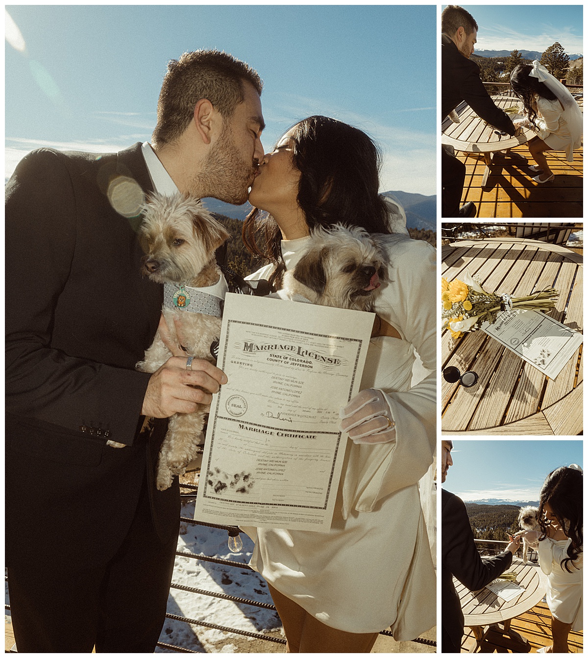 A couple helps a dog sign a Colorado marriage license.