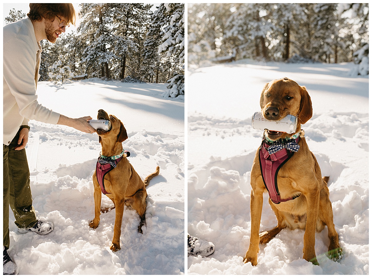 Make sure to plan ahead if you want to take engagement pictures with dogs.