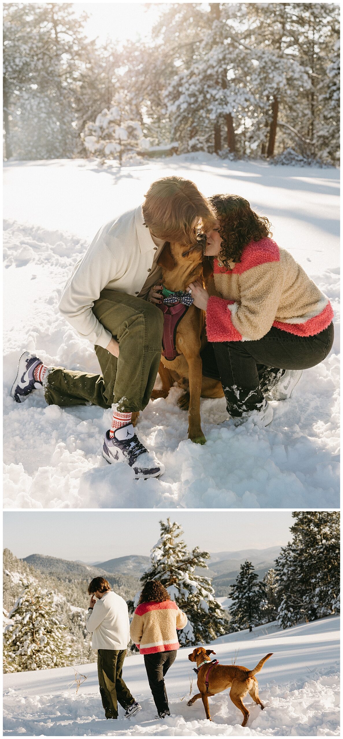 This couple took engagement pictures with their dog.